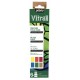 Pebeo Vitrail Glass Paint Initiation Set 6 x 20ml 756421